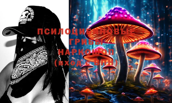прущие грибы Верхнеуральск