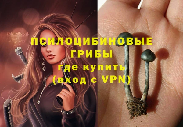 ГАЛЛЮЦИНОГЕННЫЕ ГРИБЫ Верея