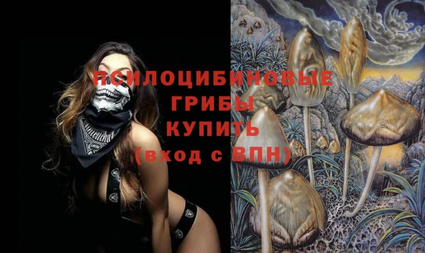 прущие грибы Верхнеуральск