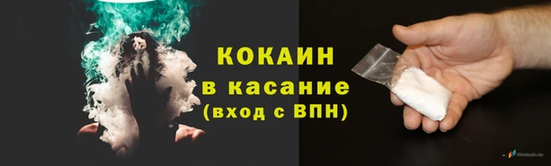 прущие грибы Верхнеуральск