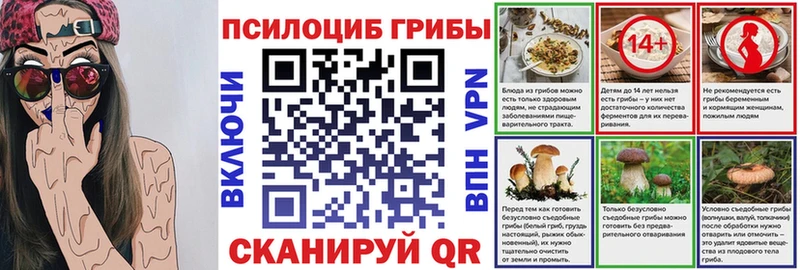 где найти   Новоуральск  Галлюциногенные грибы Psilocybine cubensis 